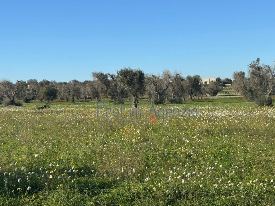 Lejlighed i Carovigno, Brindisi - foto 3